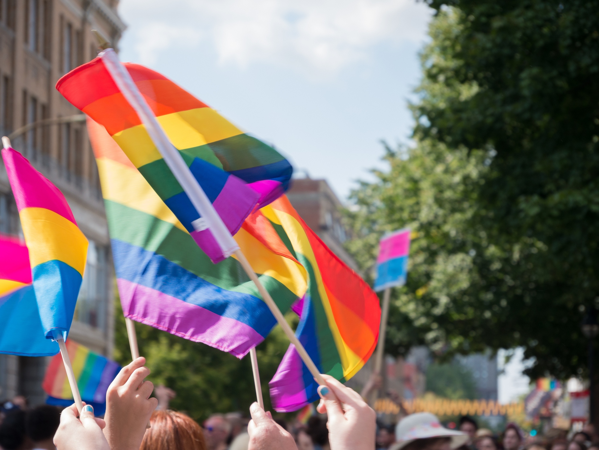 people waving pride flags