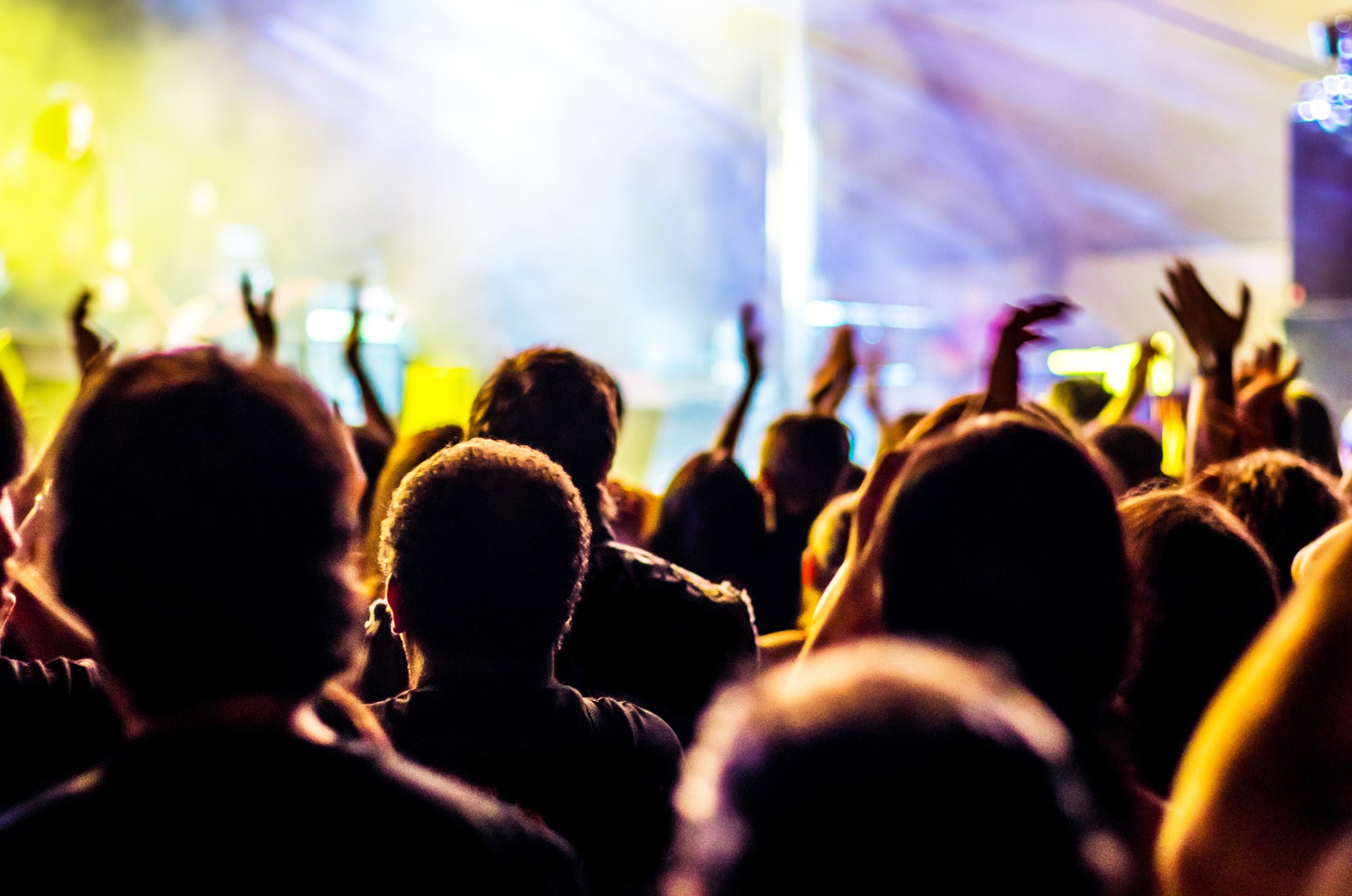 a crowd at a music festival